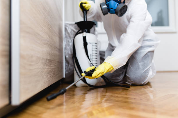 Best Residential Pest Control  in Bokeelia, FL