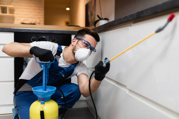Best Commercial Pest Control Services  in Bokeelia, FL