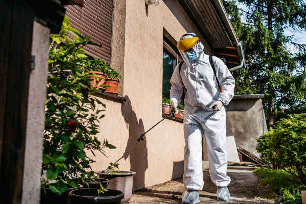Best Emergency Pest Control  in Bokeelia, FL