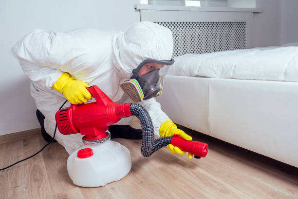 Best Pest Prevention Services  in Bokeelia, FL