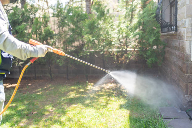 Best Pest Control Near Me  in Bokeelia, FL