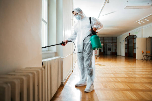 Best Flea Control Services  in Bokeelia, FL