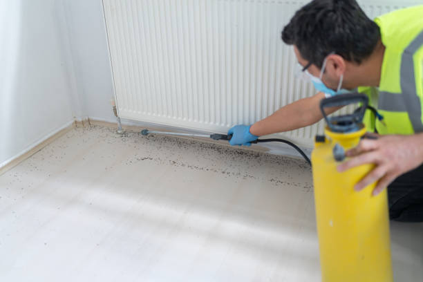 Best Pest Inspection Near Me  in Bokeelia, FL